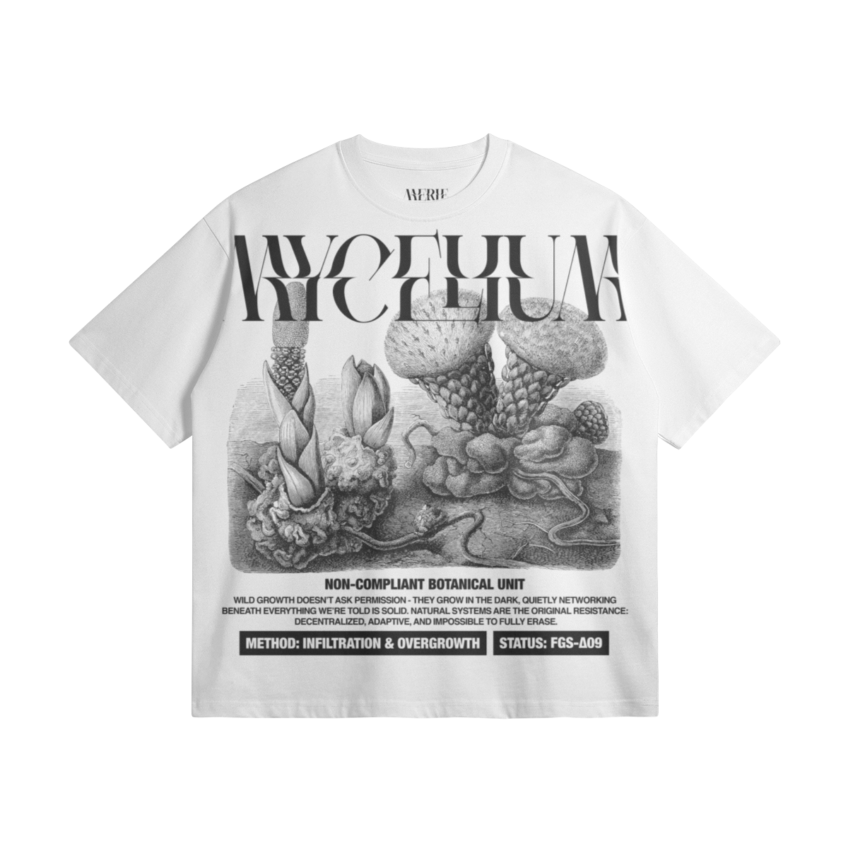 0-YCT-Front Side